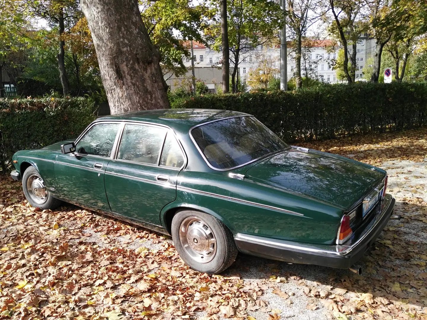 Jaguar XJ6 XJ6 4,2 zelena - 2