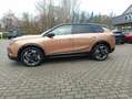 Opel Grandland e- GS AT/LED/Navi/Shz/180°Kamera/Klimaauto/Assiste Bronze - thumbnail 3