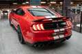 Ford Mustang Shelby GT500 RECARO/Technology-Pack/B&O Rouge - thumbnail 11