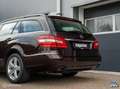 Mercedes-Benz E 300 Estate CDI Elegance Bruin - thumbnail 5