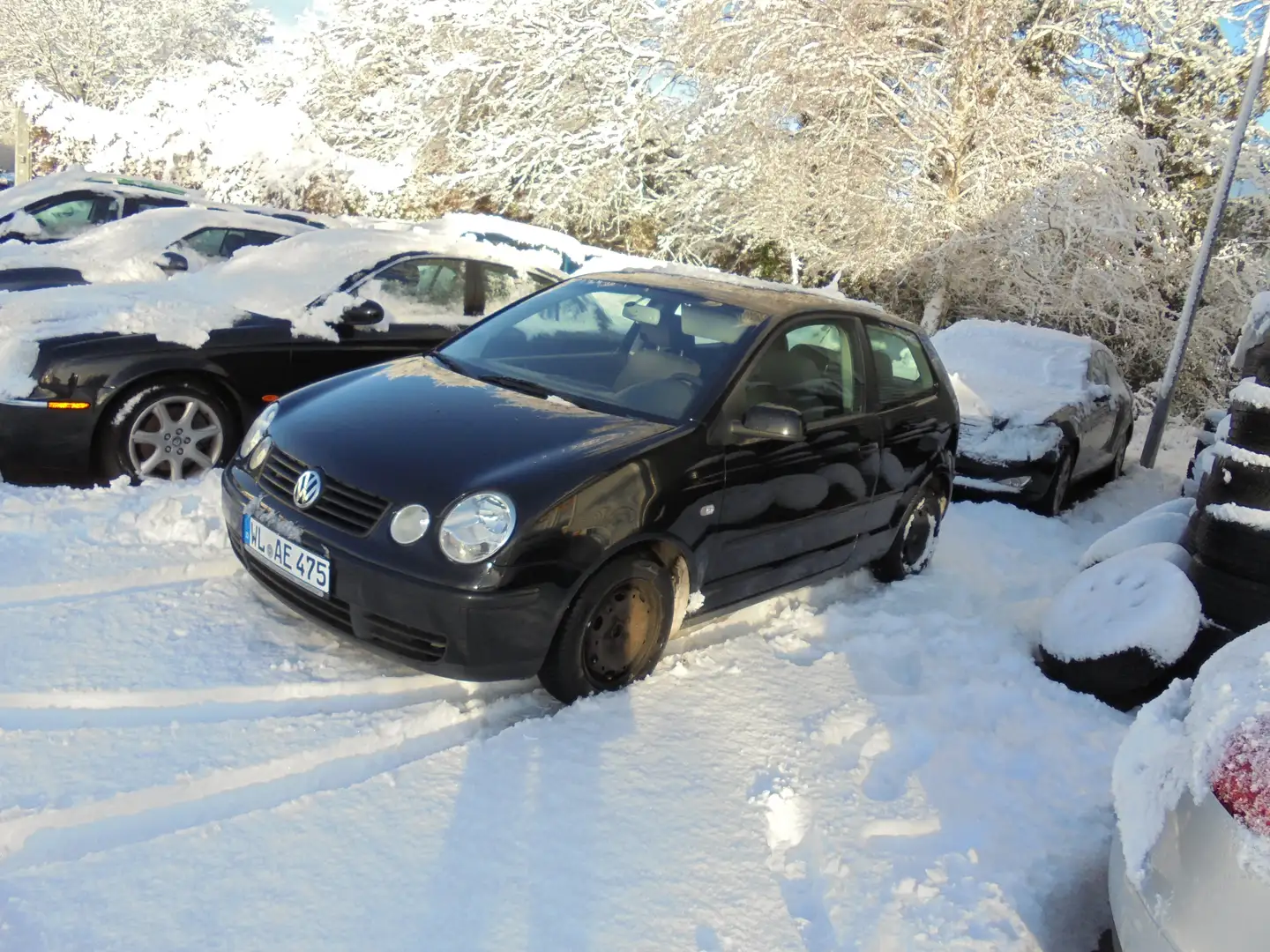 Volkswagen Polo Cricket Schwarz - 1
