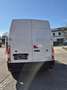 Renault Master Kastenwagen L3H2 Rückfahrkamera,Klima Weiß - thumbnail 8