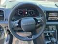 Skoda Karoq 4x4 Selection TDI DSG Silber - thumbnail 10