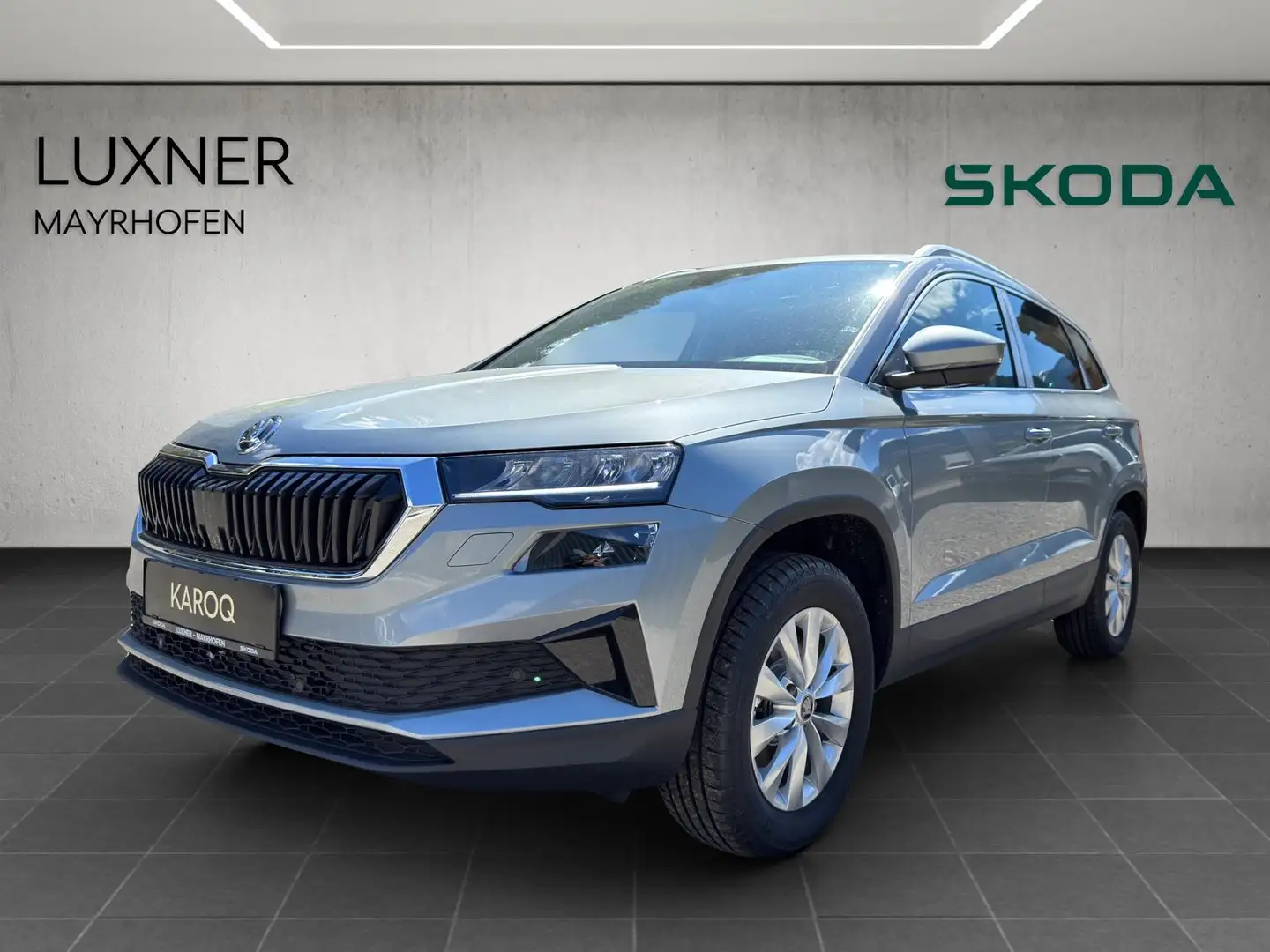 Skoda Karoq 4x4 Selection TDI DSG Silber - 1
