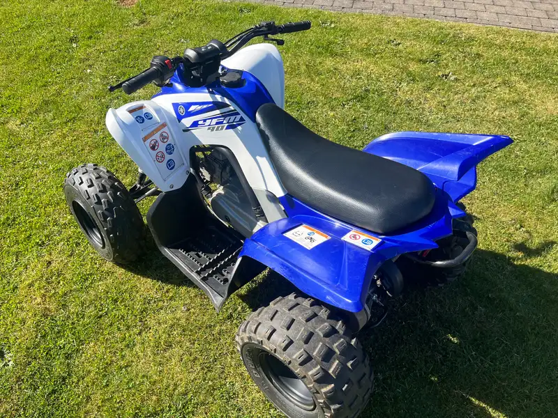 Yamaha RAPTOR 90 - foto 4