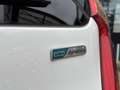 Kia Picanto 1.2 CVVT World Cup Ed. Blanc - thumbnail 23