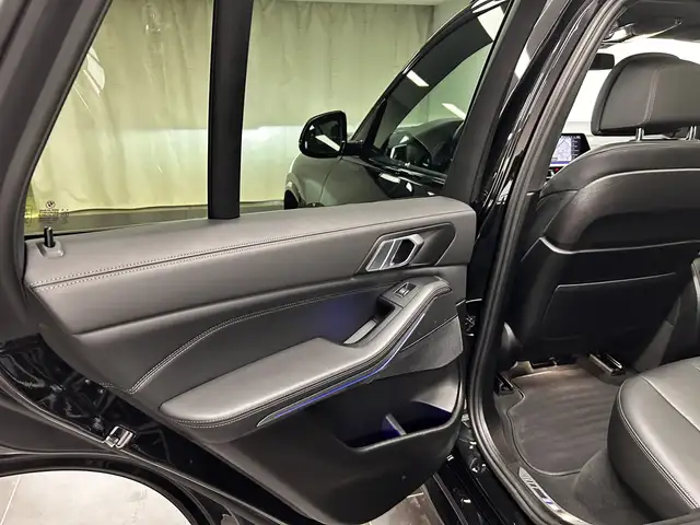 BMW X5 X5 view 19