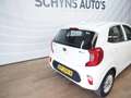 Kia Picanto 1.0 CVVT ComfortPlusLine Navigator Blanco - thumbnail 4