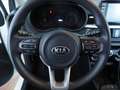 Kia Picanto 1.0 CVVT ComfortPlusLine Navigator Blanco - thumbnail 11