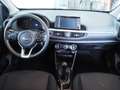 Kia Picanto 1.0 CVVT ComfortPlusLine Navigator Blanco - thumbnail 12