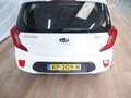 Kia Picanto 1.0 CVVT ComfortPlusLine Navigator Blanco - thumbnail 6