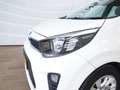 Kia Picanto 1.0 CVVT ComfortPlusLine Navigator Blanco - thumbnail 30