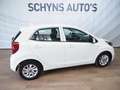 Kia Picanto 1.0 CVVT ComfortPlusLine Navigator Blanco - thumbnail 3