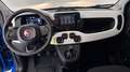 Fiat Panda Panda 1.0 FireFly S&S Hybrid Pandina Blau - thumbnail 5