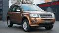 Land Rover Freelander FREELANDER2 2.2 TD4*PANO*PDC*AHK*TEMPOMAT* Braun - thumbnail 33