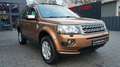 Land Rover Freelander FREELANDER2 2.2 TD4*PANO*PDC*AHK*TEMPOMAT* Braun - thumbnail 12