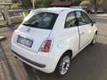 Fiat 500 500 1.2 Lounge 69cv Ok neo patentati Weiß - thumbnail 5