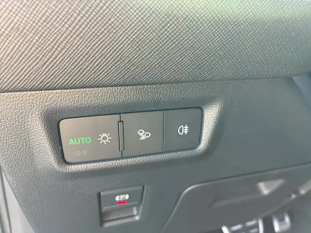 Skoda Kodiaq Sportline iV TSI DSG Ansicht 20