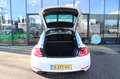 Volkswagen Beetle 1.2 TSI FENDER Panodak Climatronic, PDC, Xenon,  6 Wit - thumbnail 8