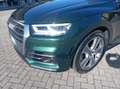 Audi SQ5 SQ5 3.0 TFSI quattro tiptronic Business Verde - thumbnail 6