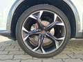 CUPRA Formentor TSI DSG LED ACC RFK SH 19" Weiß - thumbnail 12
