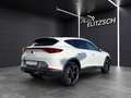 CUPRA Formentor TSI DSG LED ACC RFK SH 19" Weiß - thumbnail 7
