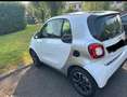 smart city-coupé/city-cabrio Coupè Alb - thumbnail 5