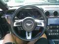 Ford Mustang 5,0 Ti-VCT V8 GT Cabrio Grau - thumbnail 18
