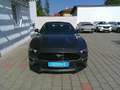 Ford Mustang 5,0 Ti-VCT V8 GT Cabrio Grau - thumbnail 40
