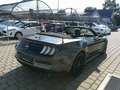 Ford Mustang 5,0 Ti-VCT V8 GT Cabrio Grigio - thumbnail 5
