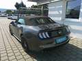 Ford Mustang 5,0 Ti-VCT V8 GT Cabrio Grau - thumbnail 37