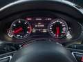 Audi A6 allroad A6 Allroad 3.0 tdi Business quattro 272cv s-tronic Argento - thumbnail 14
