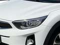 Kia Stonic Vision 1.0T Navi Kamera LED Shzg. CarPlay Weiß - thumbnail 5