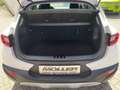 Kia Stonic Vision 1.0T Navi Kamera LED Shzg. CarPlay Weiß - thumbnail 12
