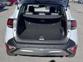 Kia Sportage 1,6 CRDI 48V Launch Edition Weiß - thumbnail 25