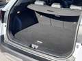 Kia Sportage 1,6 CRDI 48V Launch Edition Weiß - thumbnail 24
