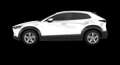 Mazda CX-30 e-SKYACTIV-G M-Hybrid Prime-Line - Vario-Leasing - Weiß - thumbnail 4