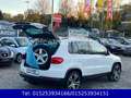 Volkswagen Tiguan 2,0 TSI Track & Style 4Motion,PANORAMA,AHK Weiß - thumbnail 6
