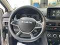 Dacia Sandero Sandero Stepway 1.0 TCe ECO-G Expression Gris - thumbnail 13