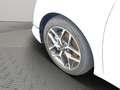 Kia Ceed / cee'd Spirit 1.5 T-GDI 140 DCT7 TEC + PDC + LED + SHZ Bianco - thumbnail 6