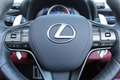 Lexus LC 500 Convertible Hokkaido Edition Schwarz - thumbnail 8