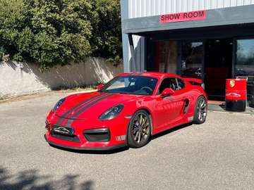 981 GT4