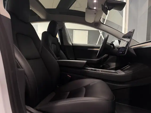 Tesla Model 3 view 24