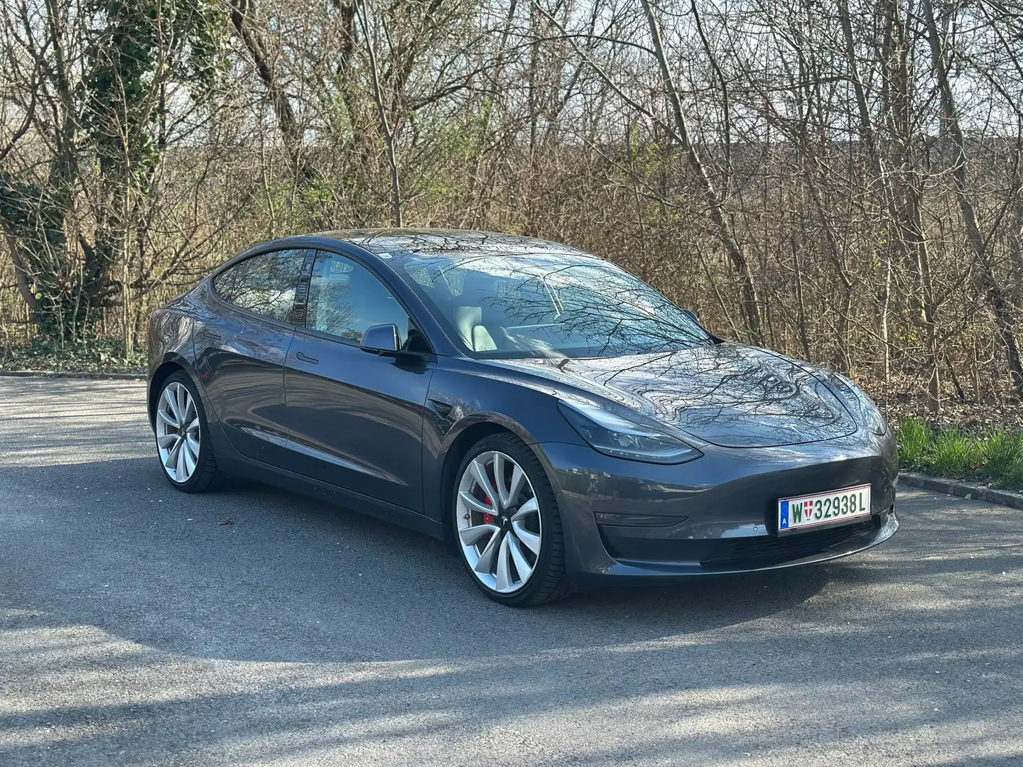 Tesla Model 3 Performance AWD Blau - 1
