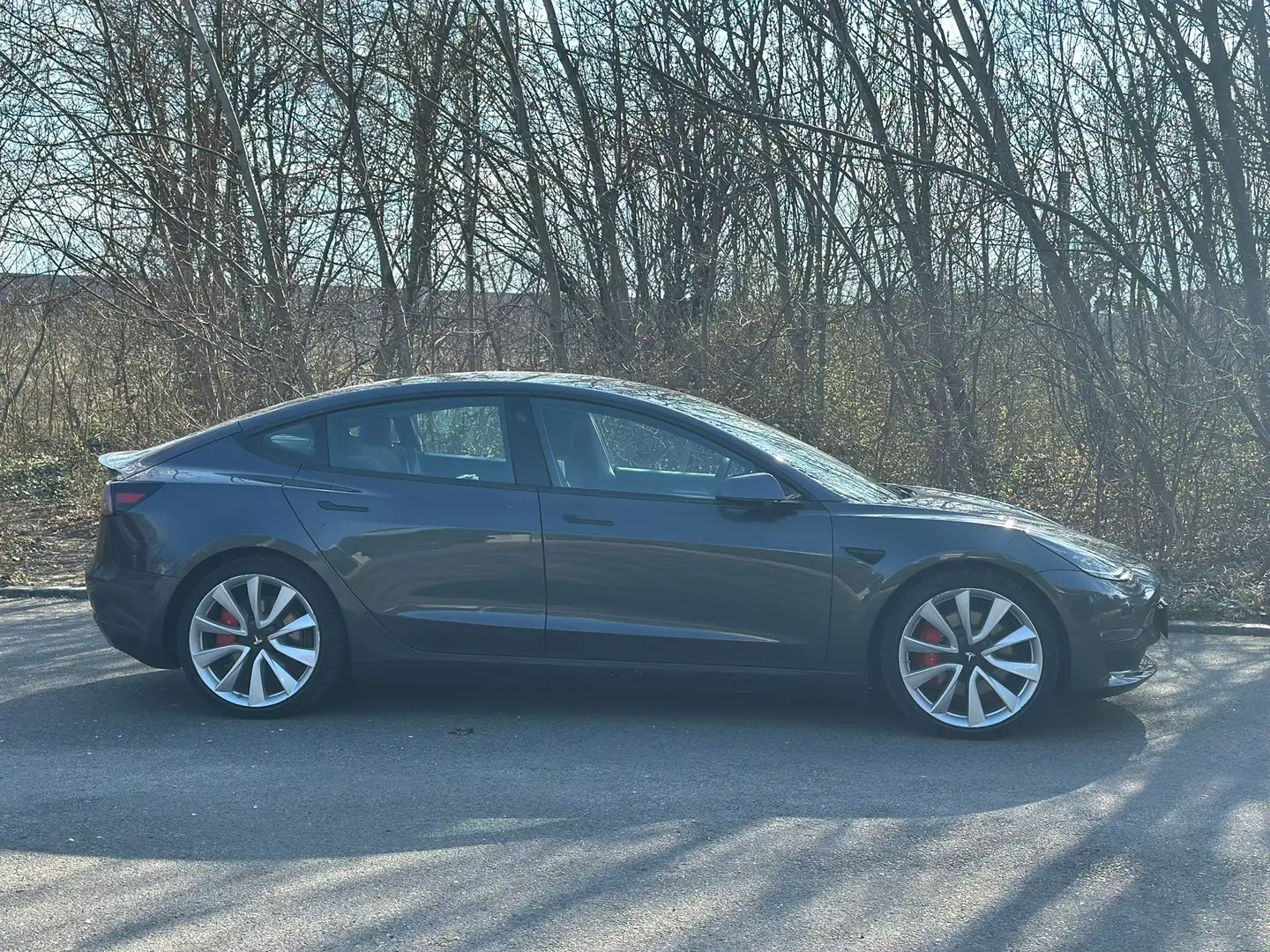 Tesla Model 3 Performance AWD Blau - 2
