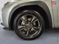 Lexus UX 300h 300h Luxe 2WD Tpano Sieges chauf/cuir Volant chauf GPS Camera Gris - thumbnail 10