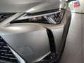 Lexus UX 300h 300h Luxe 2WD Tpano Sieges chauf/cuir Volant chauf GPS Camera Gris - thumbnail 13