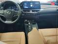 Lexus UX 300h 300h Luxe 2WD Tpano Sieges chauf/cuir Volant chauf GPS Camera Gris - thumbnail 17