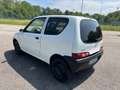 Fiat Seicento 1.1 benzina kw 40 autocarro Weiß - thumbnail 5
