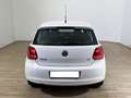Volkswagen Polo Polo 1.4 5 porte Comfortline Bianco - thumbnail 5
